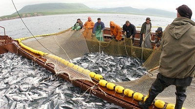Международный день рыболовства